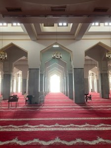 من محراب الانضباط، إلى مجالس الإدارة